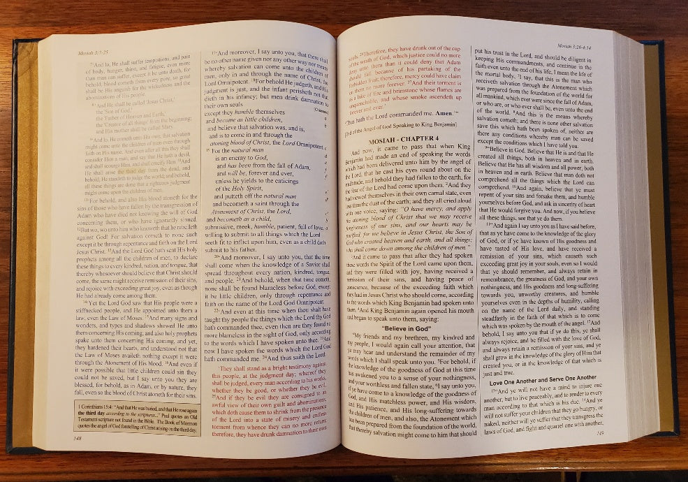 Annotated Book of Mormon - Scratch 'n Dent